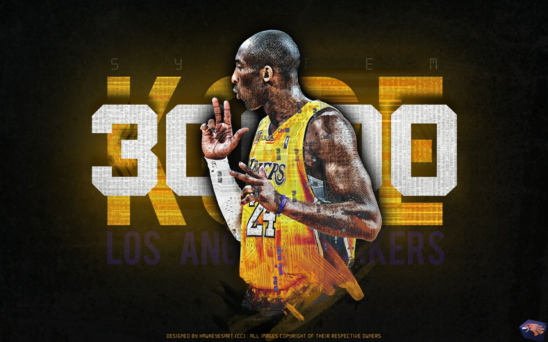 维度因素 维度因素